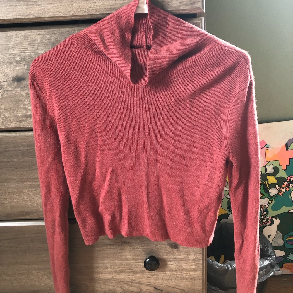 Cropped long sleeve turtle neck